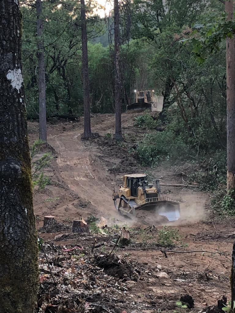 Aetna Springs firebreak